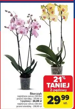 Carrefour Storczyk jednopędowy oferta