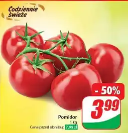 Dino Pomidory oferta