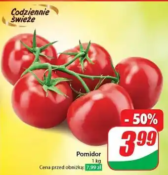 Dino Pomidory oferta