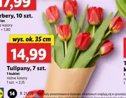 Lidl Tulipan oferta