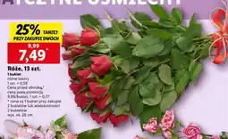 Lidl Róże oferta