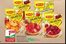 Dino Galaretka przezroczysta winogronowy smak Winiary oferta