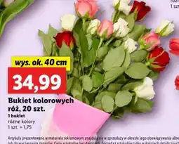 Lidl Bukiet kolorowych róż oferta