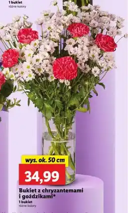 Lidl Bukiet z chryzantemami i goździkami oferta