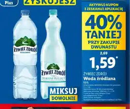 Lidl Zywiec Zdrój oferta