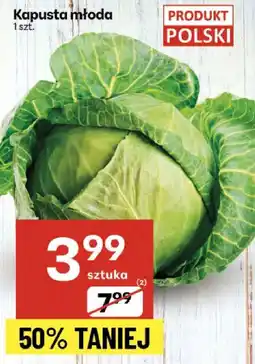 Delikatesy Centrum Kapusta młoda 1szt. Delikatesy Centrum oferta