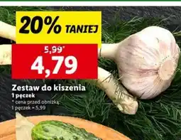 Lidl Zestaw do kiszenia oferta