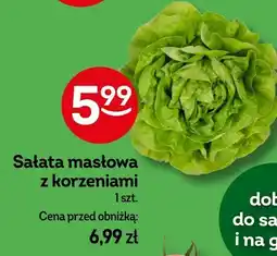 Żabka Sałata masłowa z korzeniami 1 szt. Żabka oferta