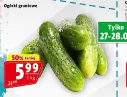 Prim Market Ogórki gruntowe 1kg Prim Market oferta