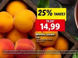 Lidl Morele oferta