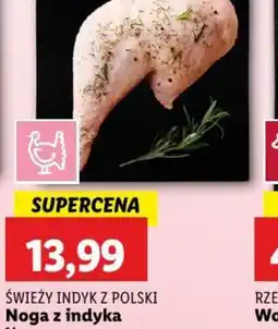 Lidl Noga z indyka oferta