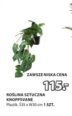 JYSK Sztuczna roślina oferta