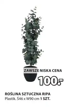 JYSK Sztuczna roślina oferta