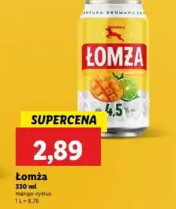 Lidl Lomża oferta