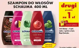 Biedronka Szampon do włosów schauma oferta
