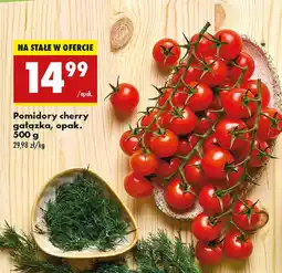 Biedronka Pomidory cherry gałązka, opak. oferta