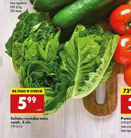 Biedronka Sałata rzymska mini, opak. oferta