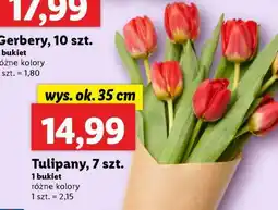 Lidl Tulipany, 7 szt oferta
