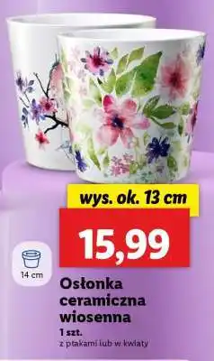 Lidl Osłonka ceramiczna wiosenna oferta