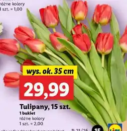 Lidl Tulipany, 15 szt oferta