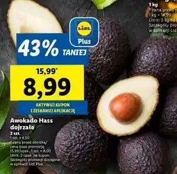 Lidl Awokado hass, dojrzałe oferta