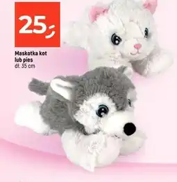 Dealz Maskotka oferta