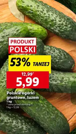 Lidl Ogórki Polski oferta