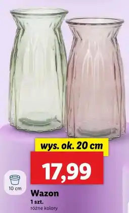 Lidl Wazon Ok oferta