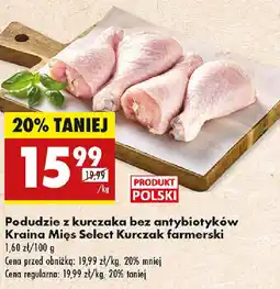 Biedronka Podudzie z kurczaka bez antybiotyków Kraina Mięs Select Kurczak farmerski oferta