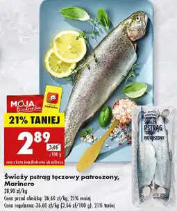 Biedronka Świeży pstrąg tęczowy patroszony oferta