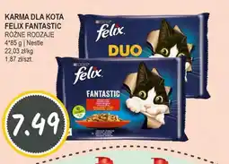 Słoneczko Karma dla kota felix fantastic nestle oferta