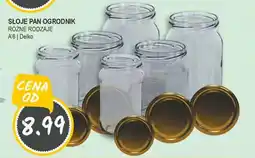 Słoneczko Słoje pan ogrodnik a'6 delko oferta