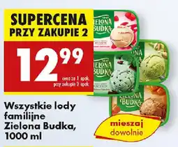 Biedronka Wszystkie lody familijne Zielona Budka oferta