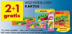 Biedronka Wszystkie lody Kaktus oferta