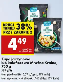 Biedronka Zupa jarzynowa lub kalafiorowa Mroźna Kraina oferta