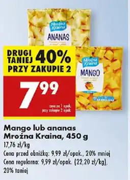 Biedronka Mango lub ananas Mroźna Kraina oferta