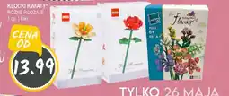 Słoneczko Klocki kwiaty diki oferta