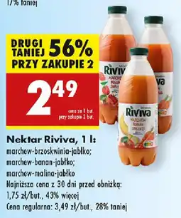 Biedronka Nektar Riviva oferta