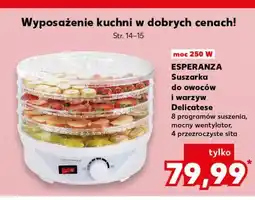 Kaufland Suszarka do owoców i jarzyn delicatese Esperanza oferta