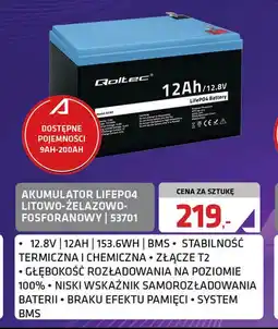 Alsen Akumulator LiFePO4 litowo-żelazowo-fosforanowy oferta