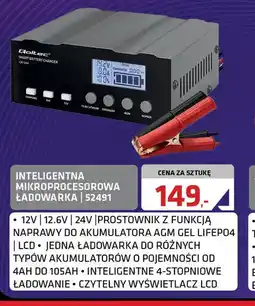 Inteligentna mikroprocesorowa ładowarka S2491