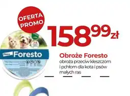 Zoo Karina Obroże Foresto oferta