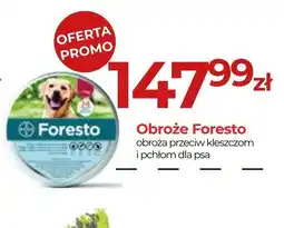 Zoo Karina Obroża Foresto oferta