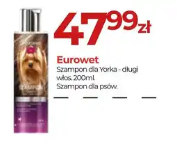 Zoo Karina Eurowet Szampon dla Yorka oferta