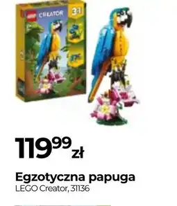 Zoo Karina Egzotyczna papuga LEGO Creator, 31136 oferta