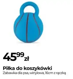 Zoo Karina Piłka do koszykówki oferta