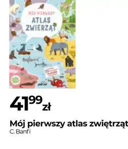 Zoo Karina Mój pierwszy atlas zwierząt oferta