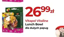 Zoo Karina Vitapol Vitaline Lunch Bowl oferta