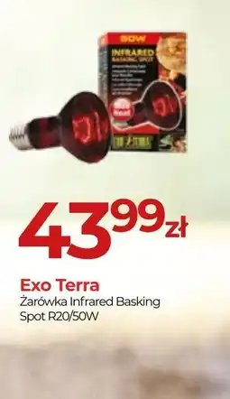Zoo Karina Exo Terra Zarówka Infrared Basking Spot R20/50W oferta
