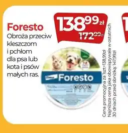 Foresto
